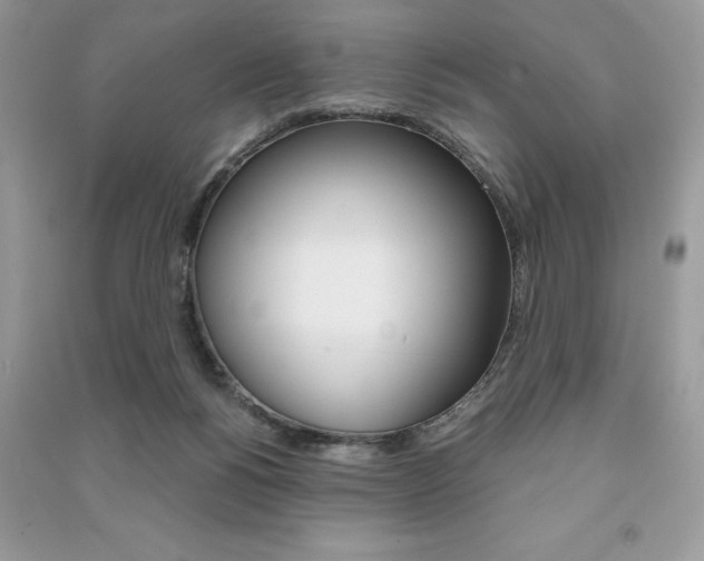 X0000091180168200708091053