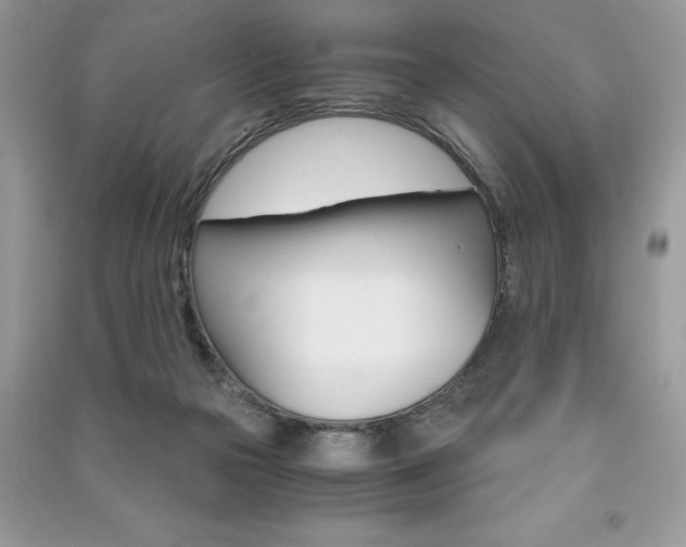 X0000091180169200708091053