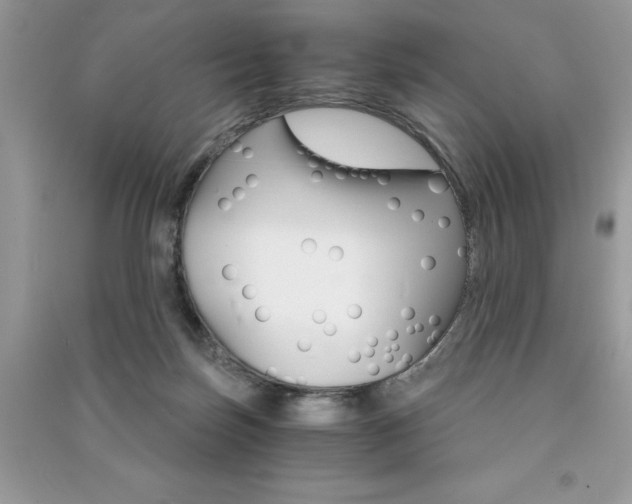 X0000091180171200708091053