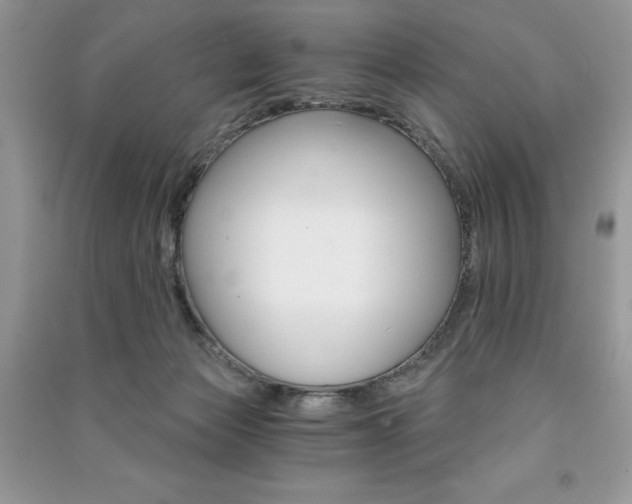 X0000091180173200708091053