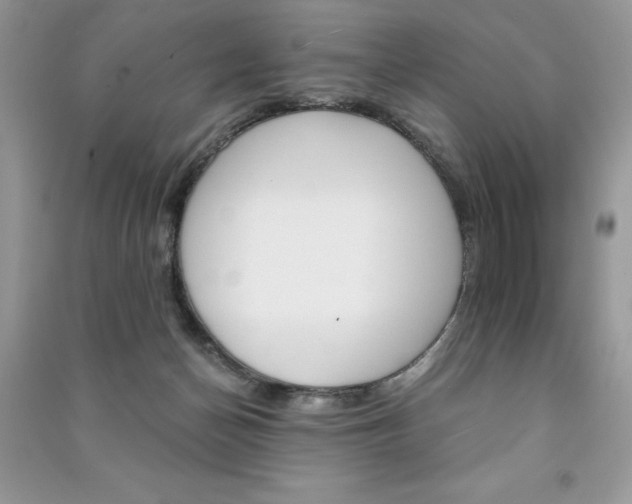 X0000091180174200708091054