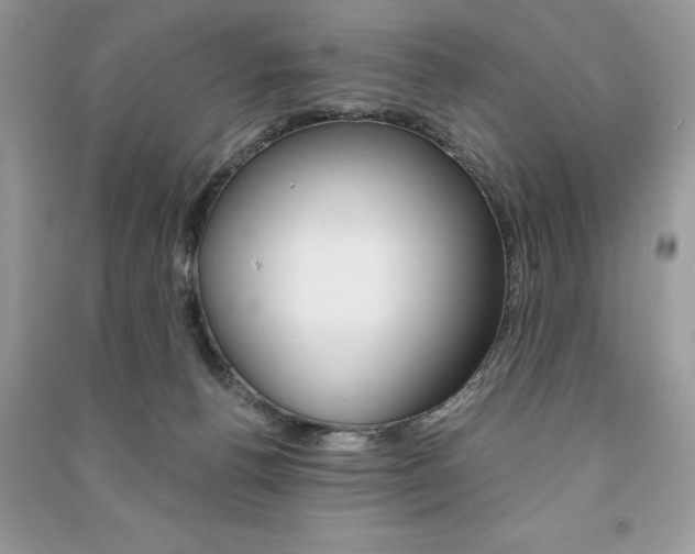 X0000091180176200708091054