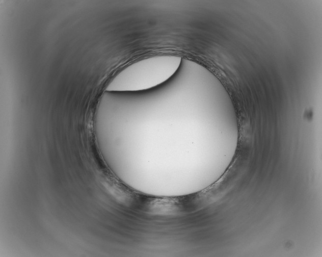X0000091180179200708091054