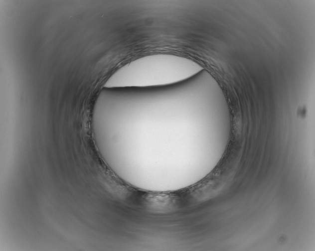 X0000091180181200708091054