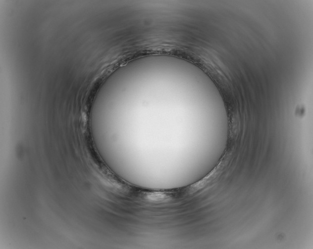 X0000091180183200708091054