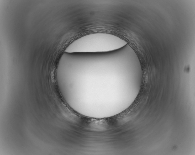 X0000091180185200708091054