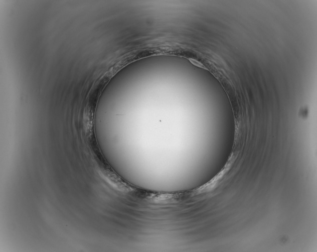 X0000091180186200708091054