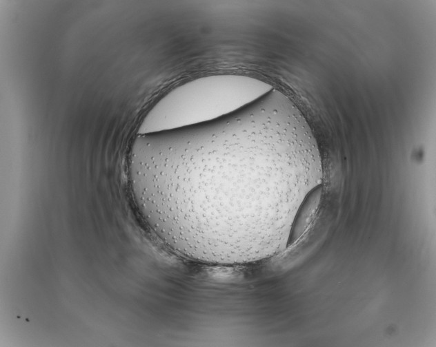 X0000091180187200708091054