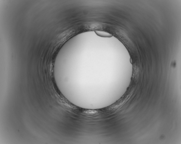 X0000091180189200708091054