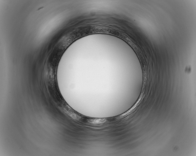 X0000091180191200708091054