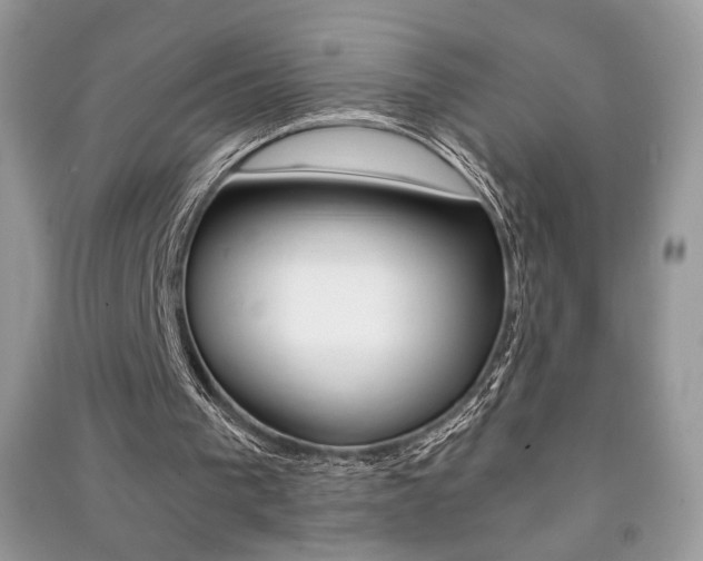 X0000091180193200708091053