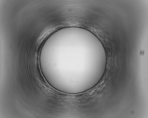 X0000091180194200708091053