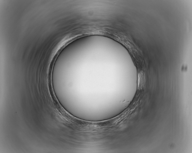 X0000091180195200708091053