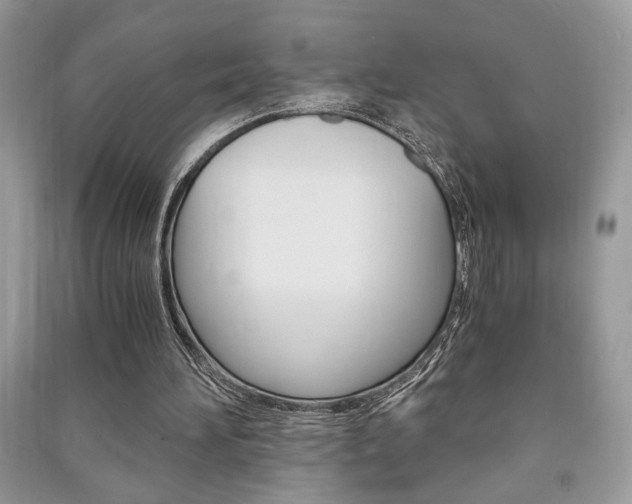 X0000091180196200708091053
