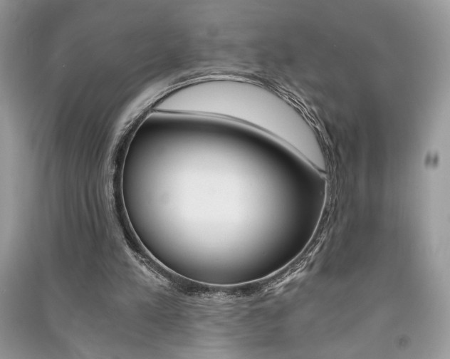 X0000091180197200708091053