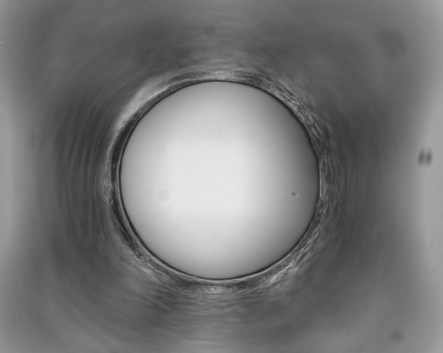 X0000091180198200708091053