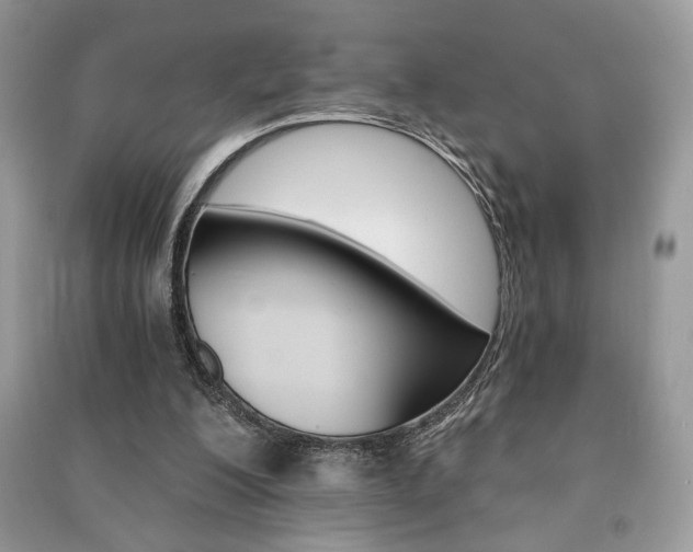 X0000091180200200708091053