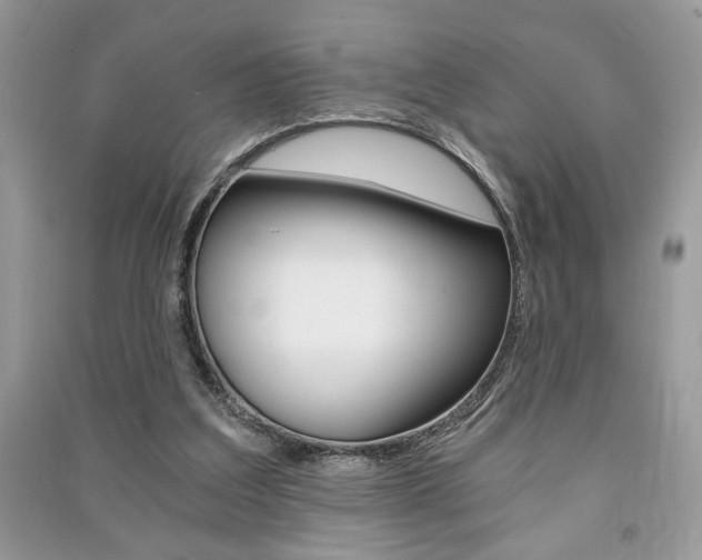 X0000091180203200708091053