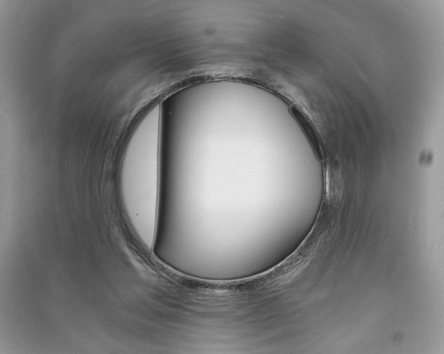 X0000091180205200708091053