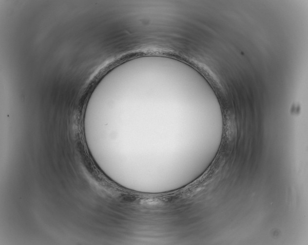 X0000091180208200708091053