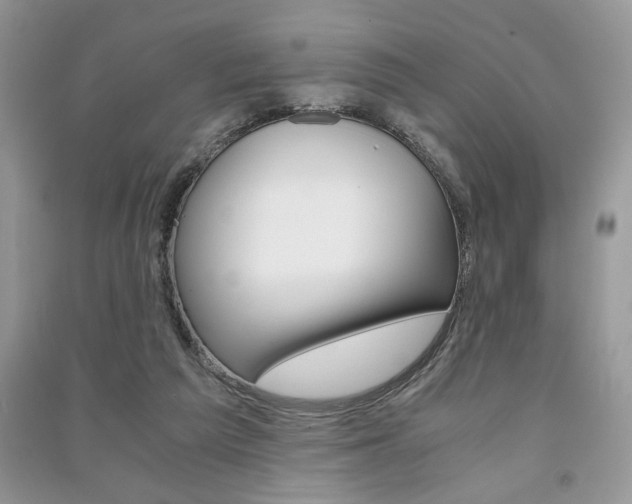 X0000091180209200708091053