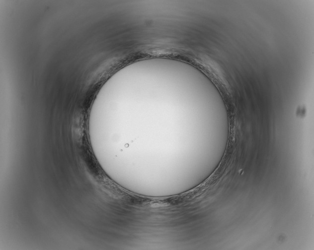 X0000091180210200708091053