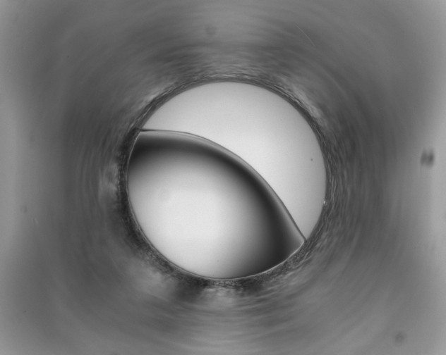 X0000091180211200708091053