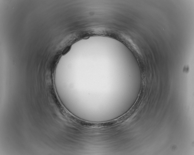X0000091180213200708091053
