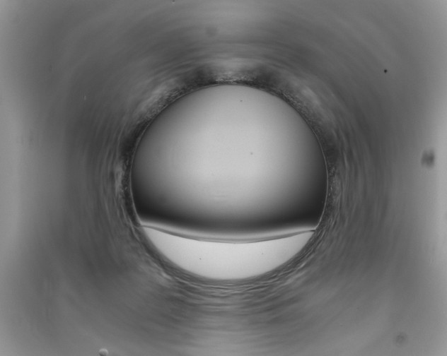 X0000091180219200708091053