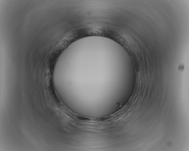 X0000091180223200708091053