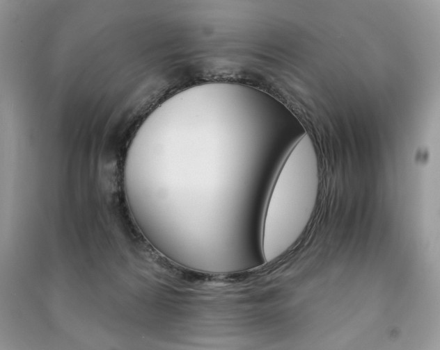 X0000091180224200708091053