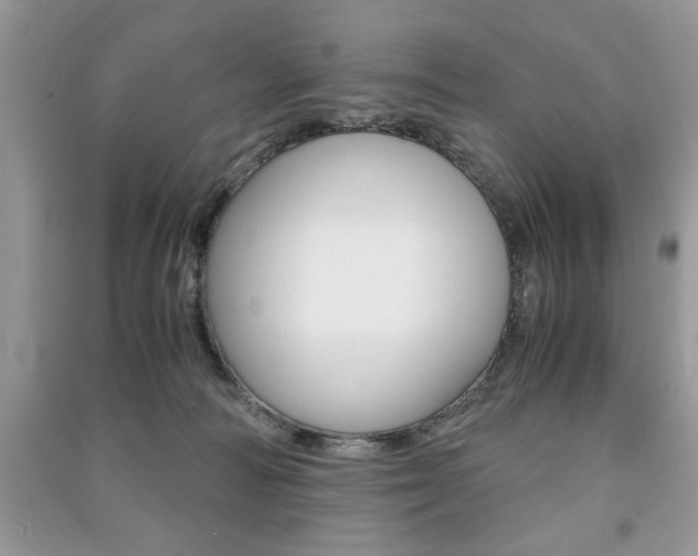 X0000091180226200708091053