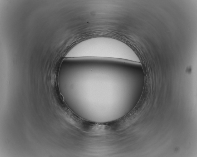X0000091180227200708091053