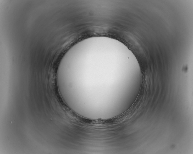 X0000091180228200708091053