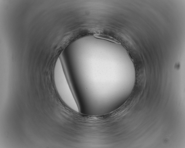 X0000091180229200708091053