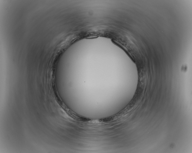 X0000091180231200708091053