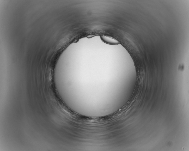 X0000091180232200708091053
