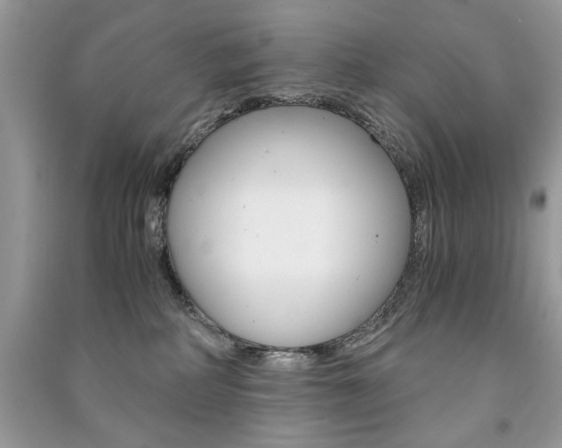 X0000091180234200708091052