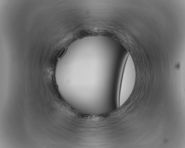 X0000091180235200708091052