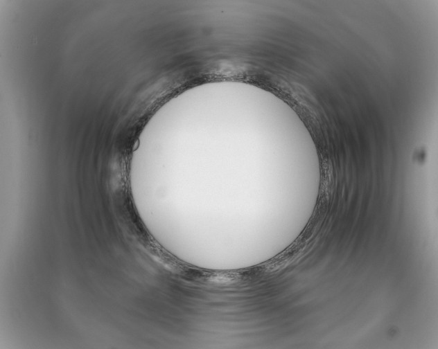 X0000091180236200708091052