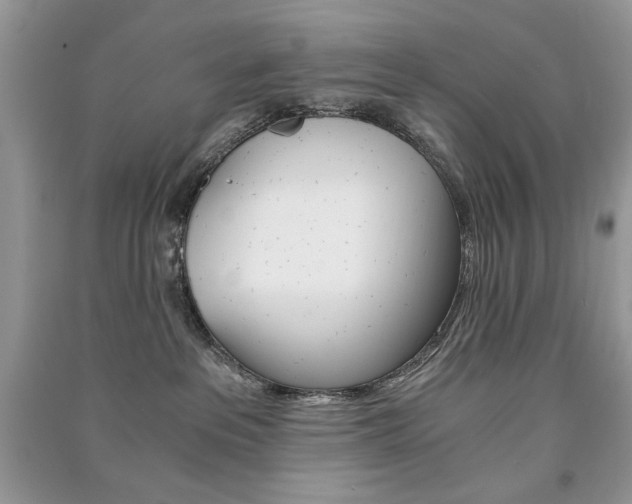 X0000091180237200708091052