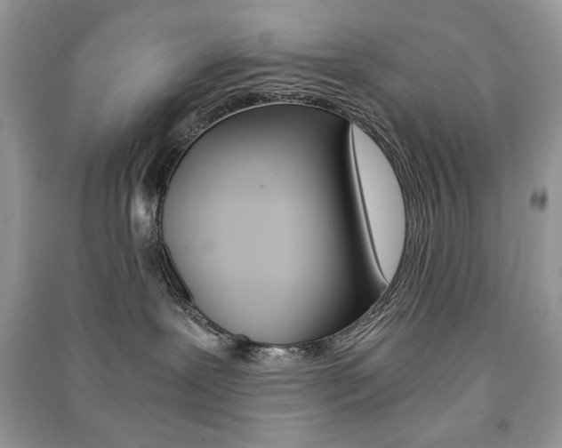 X0000091180239200708091052