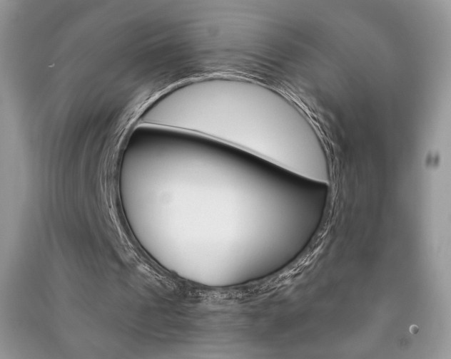 X0000091180241200708091052