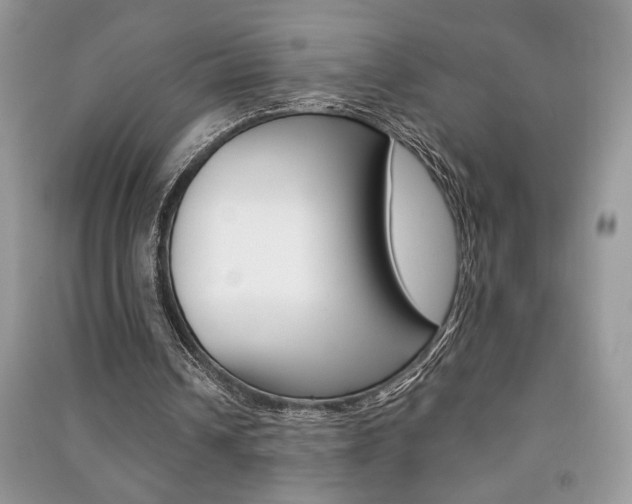 X0000091180242200708091052