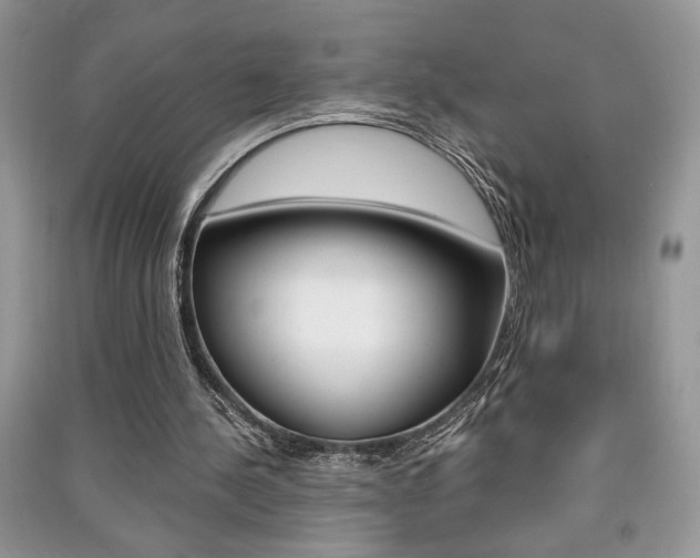 X0000091180244200708091052