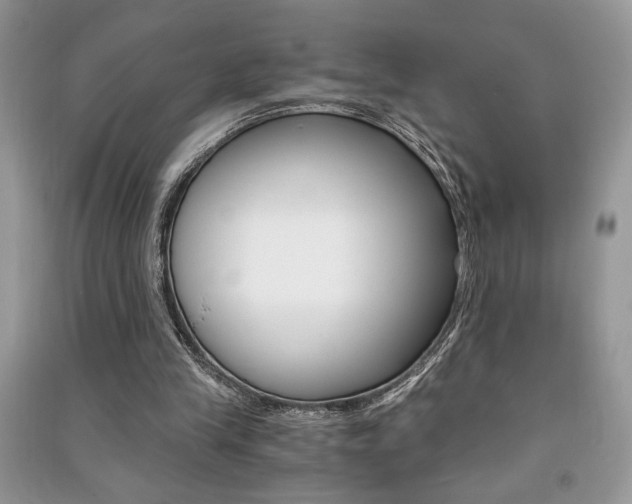 X0000091180245200708091052