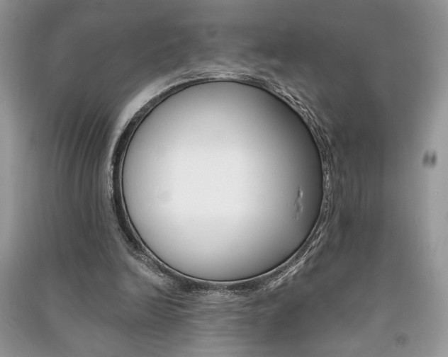 X0000091180246200708091052