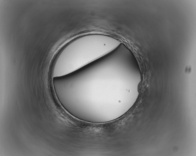 X0000091180247200708091052