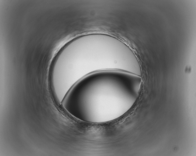 X0000091180248200708091052