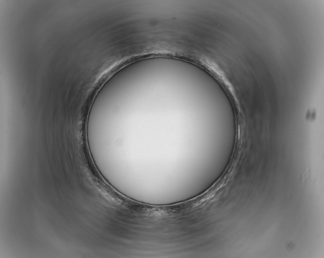 X0000091180249200708091052